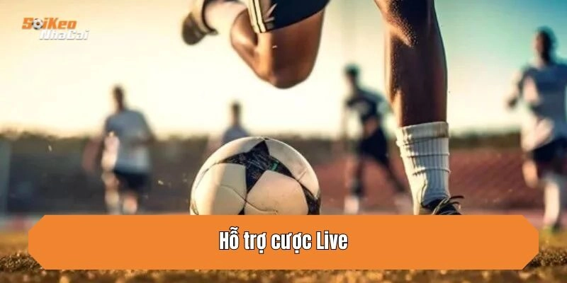 Hỗ trợ cược Live