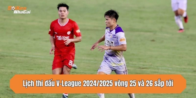 Lịch Thi Đấu V-League 2024/2025 – Vòng 25, 26 Chuẩn Xác