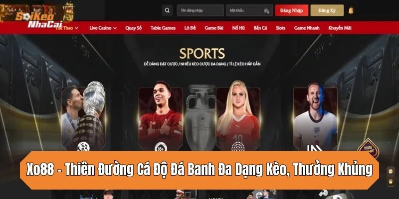 xo88-thien-duong-ca-do-da-banh-da-dang-keo-thuong-khung
