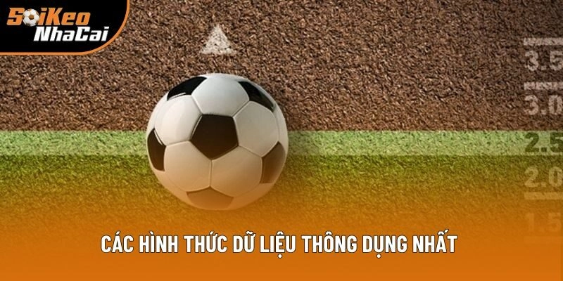 Các hình thức dữ liệu phổ biến nhất hiện nay