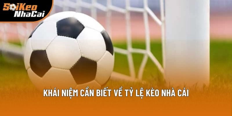 Định nghĩa cần nắm bắt rõ về tỷ lệ kèo nhà cái Định nghĩa cần nắm bắt rõ về tỷ lệ kèo nhà cái